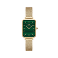 Daniel Wellington Ladies Green Watch Dw00100561