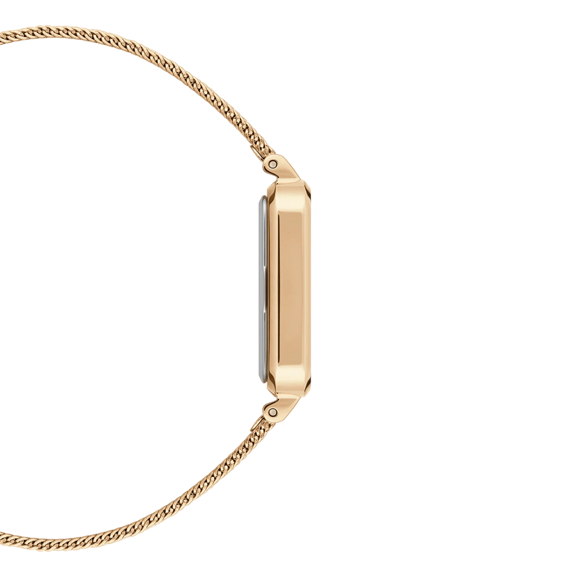 Daniel Wellington Ladies Gold Watch Dw00100556 Copy